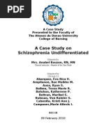 Download Undifferentiated Schizophrenia Case Study Sample by Saro Balberan SN132053662 doc pdf