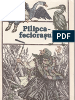 PILIPCA-FECIORASUL