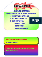 Fungsi Adrenal Korteks