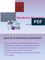 Membrana Plasmática MIA