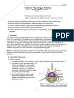 Spinal Cord Physiology & Anatomy: Objectives