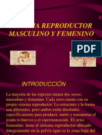 1-SIST REPRODUCTOR MASCULINO Y FEMENINO.ppt