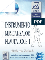 Instrumento Musicalizador Flauta Doce I