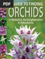 A Guide To Finding Orchids