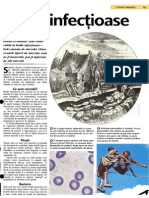 Bolile Infectioase PDF