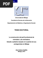 Perfil Orientador, Orientadora, Estudio Cualitativo