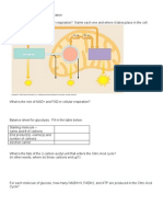 ALM Photosynthesis and Respiration