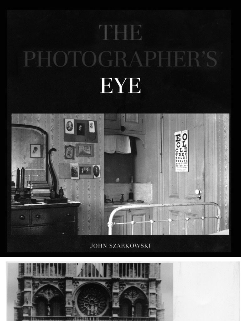 John Szarkowski The Photographer's Eye Museology Art Media