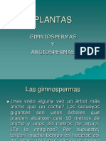 Plantas Gimnospermas y Angiospermas 1231876195250697 3