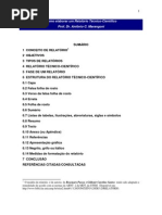 Como Elaborar Um Relatorio Tecnico-Cientifico