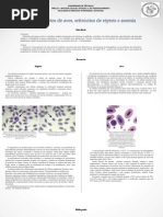 Eritrócitos de aves, eritrócitos de répteis e anemia