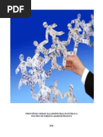 NOÇÕES DE DIREITO ADMINISTRATIVO.pdf