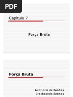 Cap7-ForcaBruta