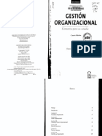Gestión Organizacional. Darío Rodríguez