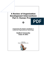 Review of Organization Development Interventions: Human Process