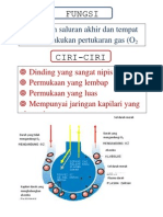 (PJM) Alveolus (Fungsi, Ciri, Pertukaran)