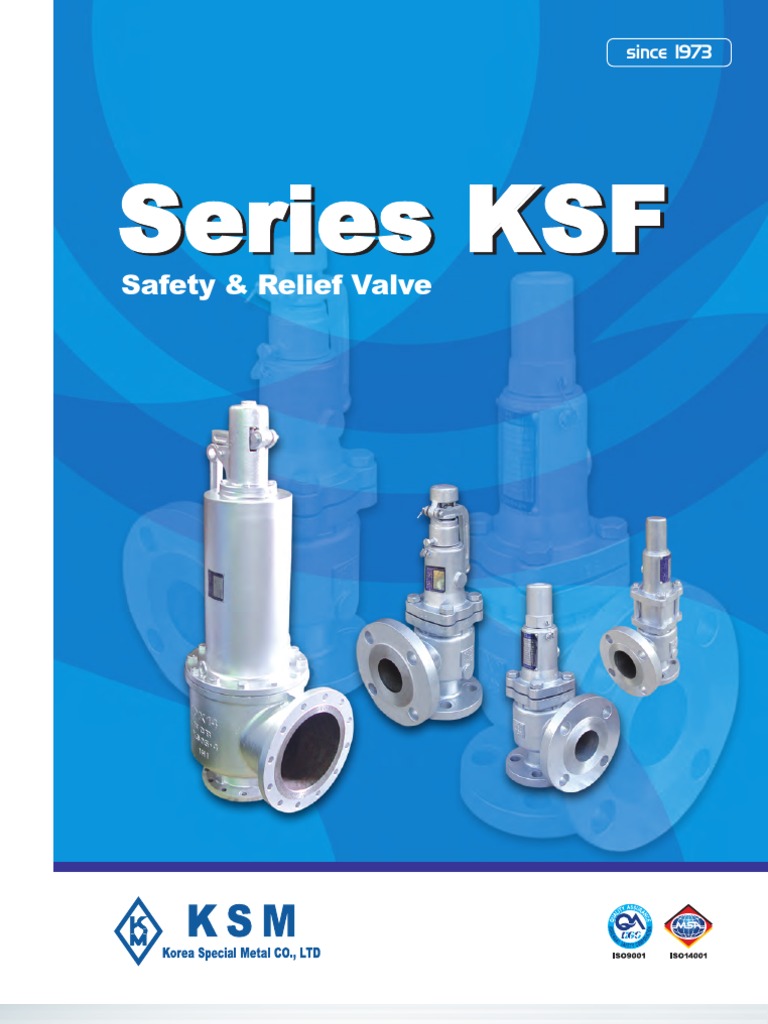 History and Technical Documentation of Korea Special Metal Co., Ltd