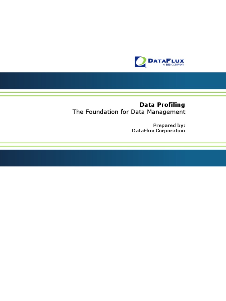 Data Profiling White Paper1003-Final | PDF