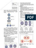 Hand Out Pembelahan Sel