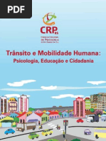 Livro Psicologo Do Transito