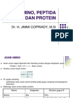 Asam Amino, Peptida Dan Protein - Copy