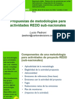 Metodologias Para REDD_Lucio Pedroni