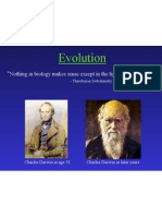 darwin slideshow