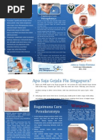 Leaflet Penyuluhan flu singapura