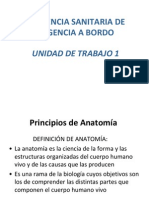 UT1.1 Principios de Anatomia