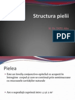 C1 Structura Pielii
