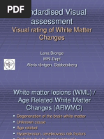 Visual Rating WM Changes