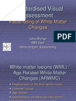 Visual Rating WM Changes