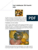 Cómo cultivar calabazas.doc