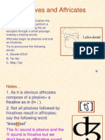 Vowels and Consonants