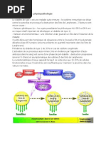 Physiopathologie des Diabètes