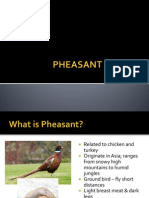 Pheasant