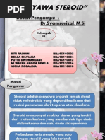Download Senyawa Steroid by Siti Raihan SN132337744 doc pdf