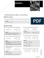 03 Determinantes