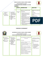 2da Parte - Plan de Cuidados de Enfermeria - Neurologia - Miki