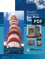 Braden 2010 PDF