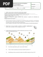 Ficha de Avaliação de Ciências Naturais Do 7ºAno - HistTerra Estrutura Interna, Deriva e Tectónica