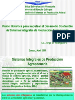 Clase Sistemas Integrales Ppub.