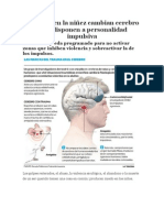 Traumas en la niñez cambian cerebro