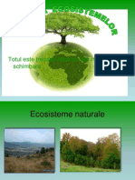 Evolutia Ecosistemelor