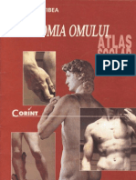 Atlas Anatomia Omului