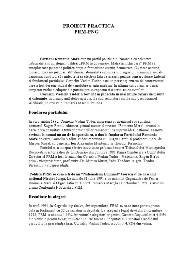Partidul Romania Mare-Proiect | PDF