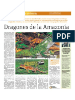 Dragones de La Amazonia