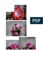 Flores[2]