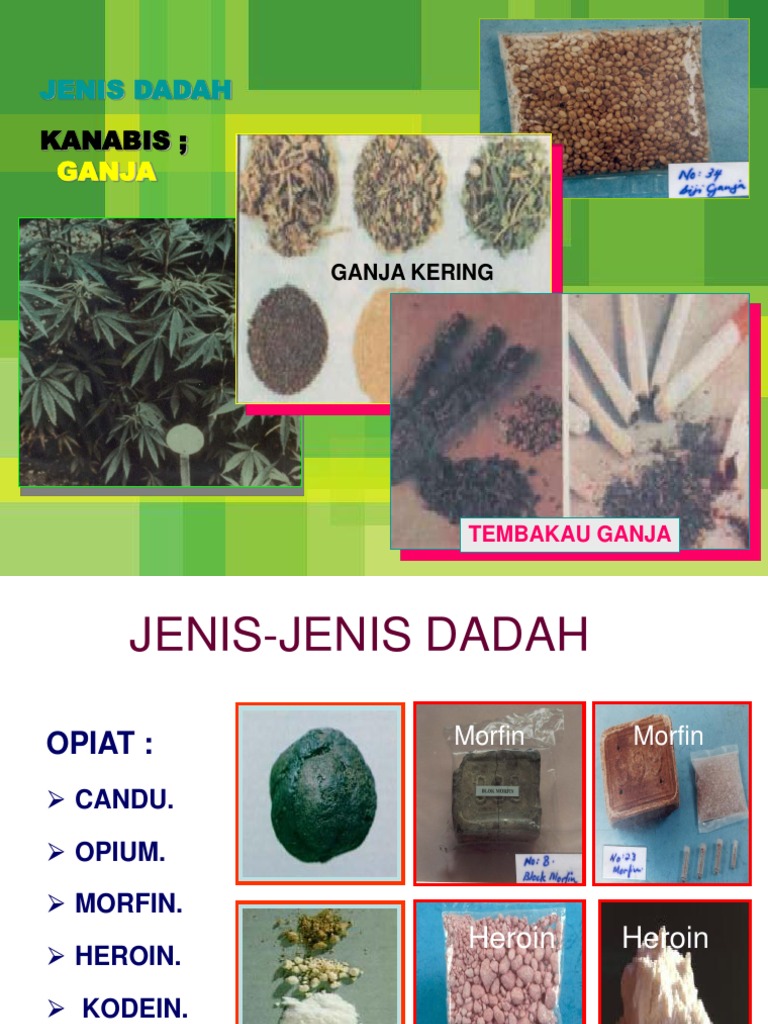 Jenis Jenis Dadah Jenis Jenis Dadah