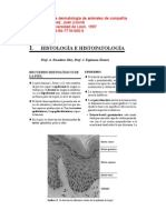 Manual de Dermatologia